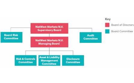 Diagram of Commercial Borderless Bank markets structure